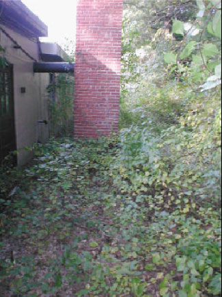 UST area behind building L-1.  View to NorthEast.