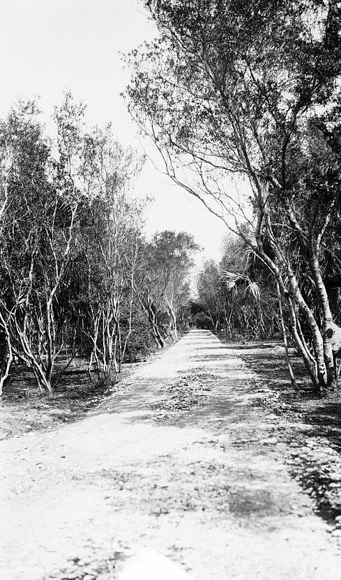 Historic View along the Trail to the Battery Hambright