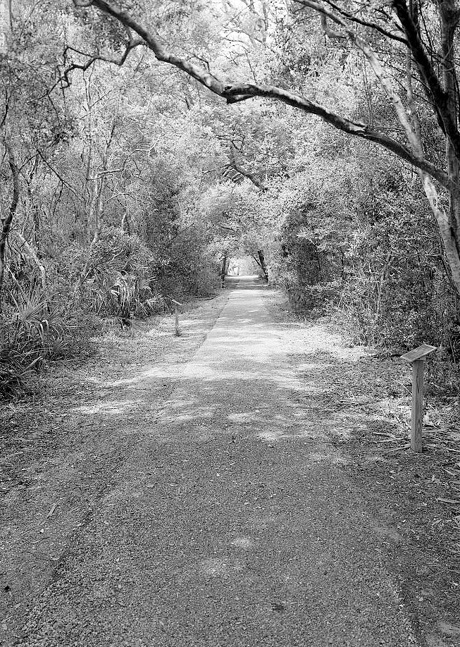 Historic View along the Trail Leading to the Battery Hambright