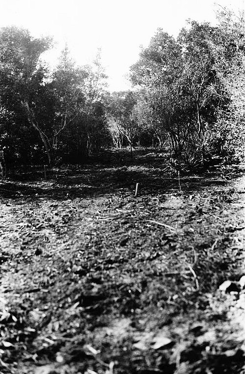 Historic View along Trail to Battery Hambright Looking North