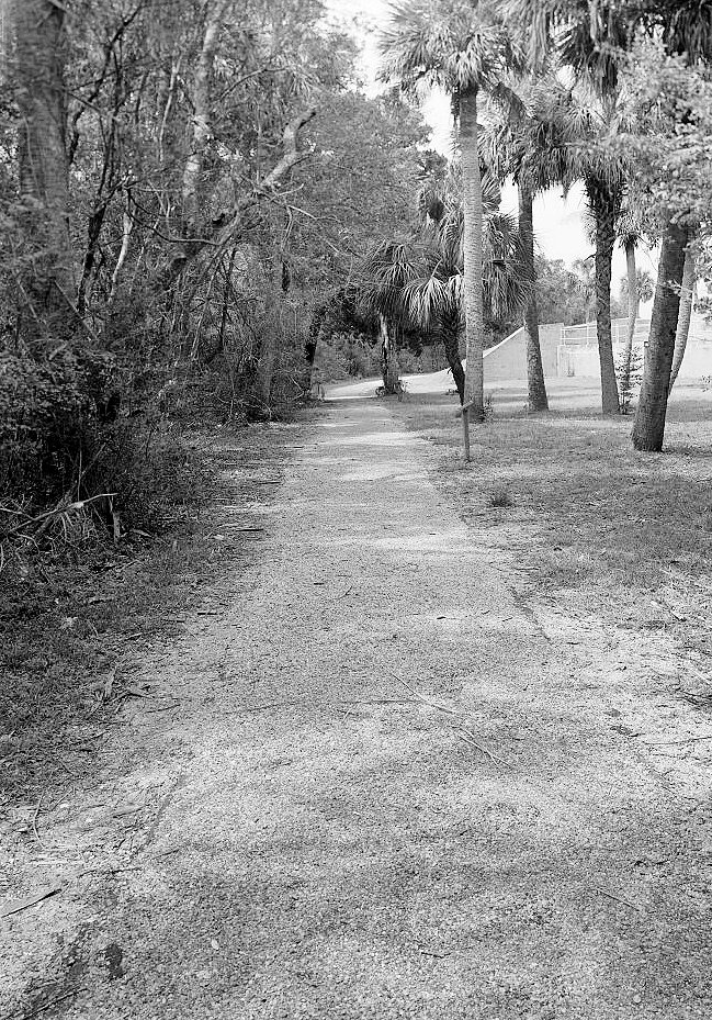 Duplicate of Historic View of Trail to Battery Hambright Looking North