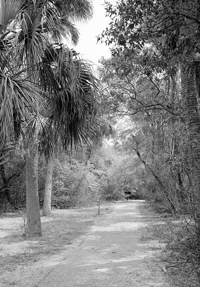 View along Path from Battery Hambright to the North Pier