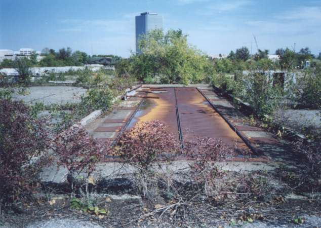 Magazine view
