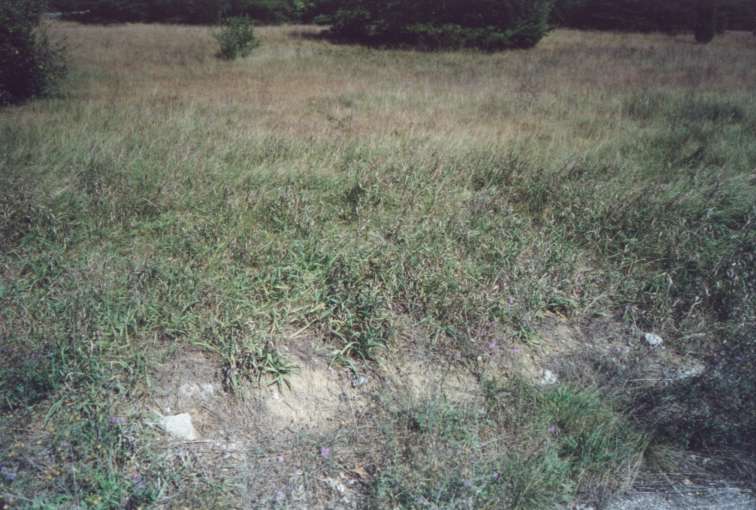 What is left of the Guard Shack